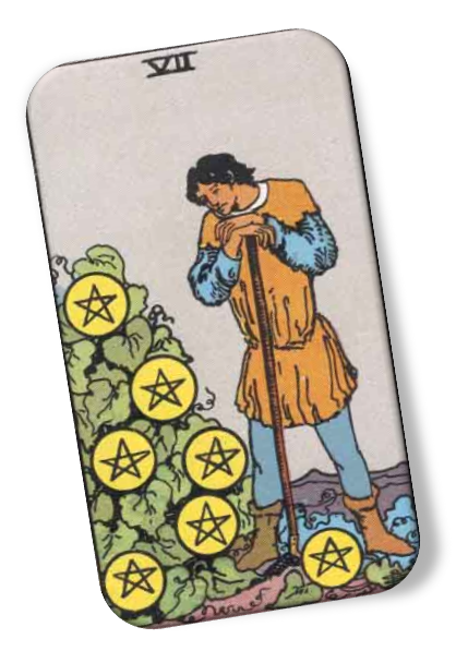 Seven of Pentacles Rider Waite image description