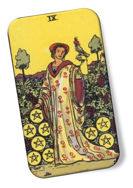 Nine of Pentacles Rider Waite image description