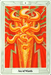 ace of wands thoth