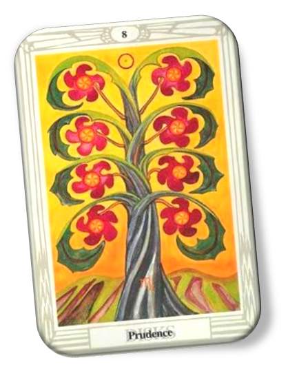 thoth 8 of disks