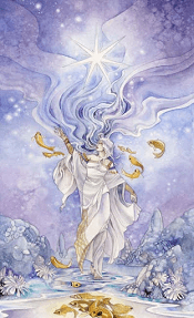 The Star Shadowscapes