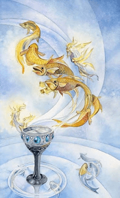 Ace of Cups Shadowscapes