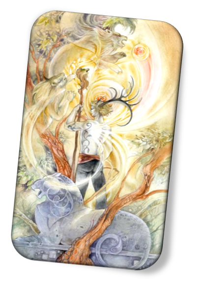 meaning of the King of Wands Shadowscapes Tarot