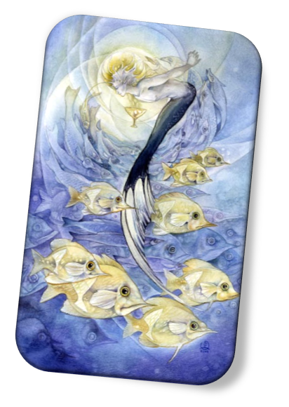 The meaning of the Nine of Cups Shadowscapes Tarot