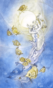 10 of Cups Shadowscapes