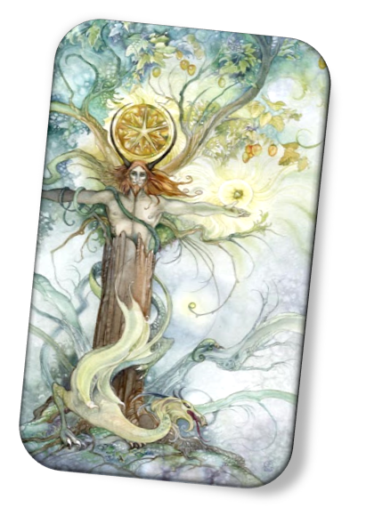 meaning of the King of Pentacles Shadowscapes Tarot