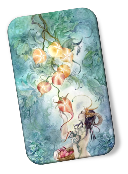 meaning of the Seven of Pentacles Shadowscapes Tarot