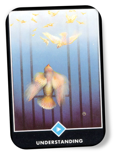 Explanation of Page of Water Osho Zen Tarot
