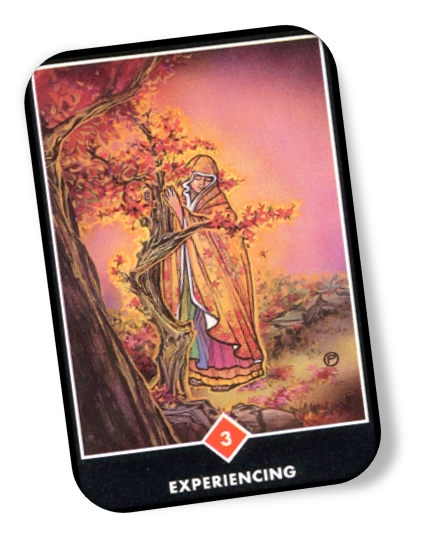 Explanation of Three of Fire Osho Zen Tarot