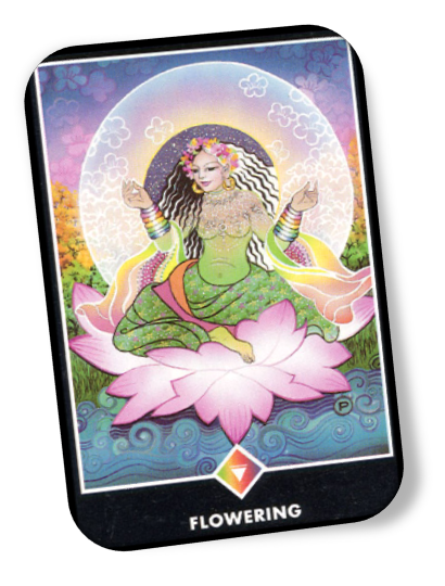 Explanation of Queen of Rainbows Osho Zen Tarot