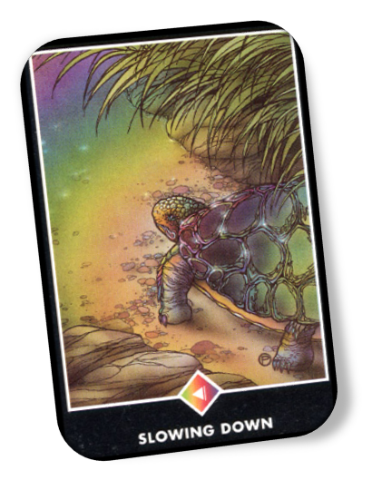 Explanation of Knight of Rainbows Osho Zen Tarot