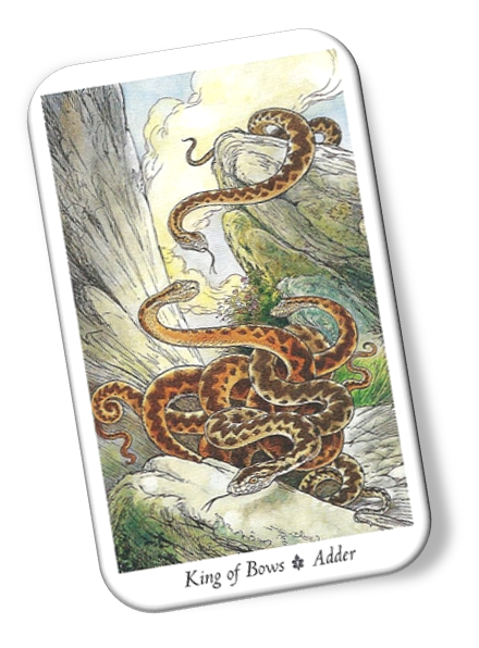 Meaning of King of Bows Wildwood Tarot