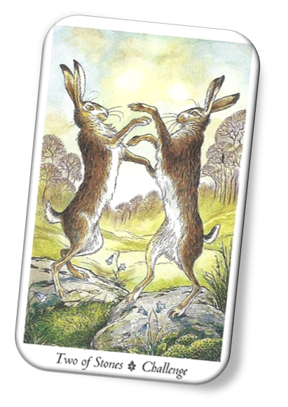 Meaning of Two of Stones Wildwood Tarot
