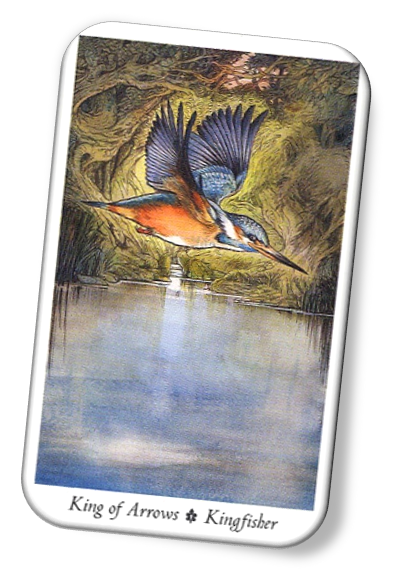 Meaning of King of Arrows Wildwood Tarot