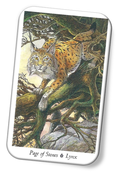 Meaning of Page of Stones Wildwood Tarot