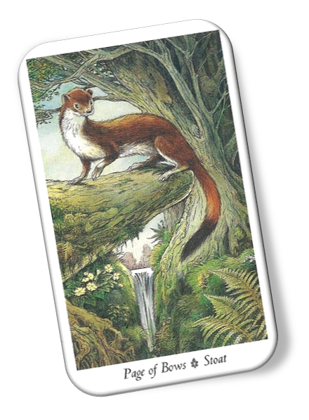 Meaning of Page of Bows Wildwood Tarot