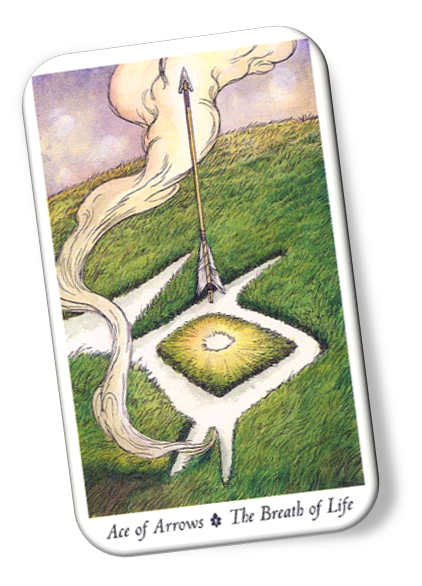 Meaning of Ace of Arrows Wildwood Tarot