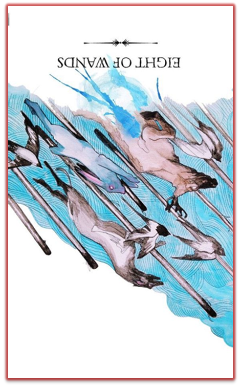 reversed eight of wands linestrider
