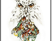 nine-of-pentacles-linestrider-tarot-card-meanings-tarotx