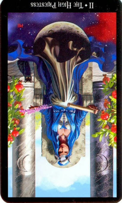 reversed the high priestess witches tarot