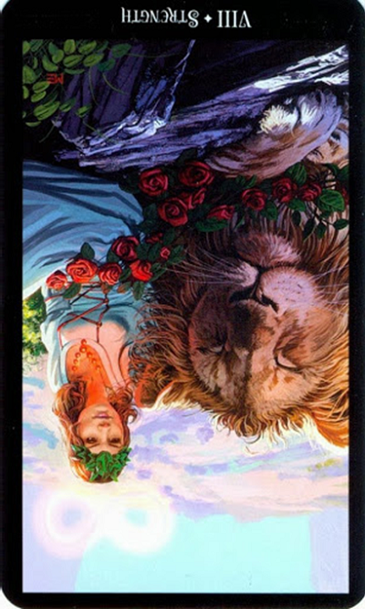 reversed the strength witches tarot