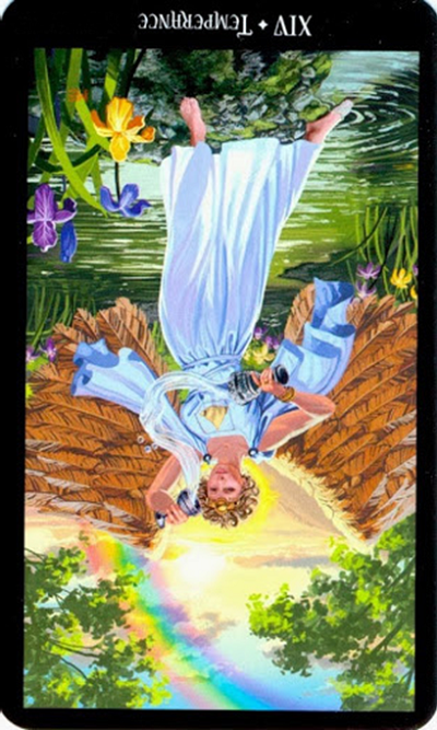 reversed the temperance witches tarot
