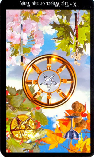reversed the wheel of the year witches tarot