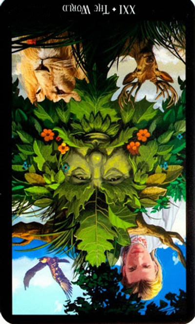 reversed the world witches tarot
