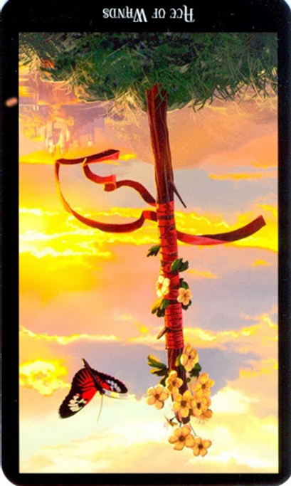 reversed ace of wands witches tarot