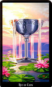 Ace of cups Witches Tarot
