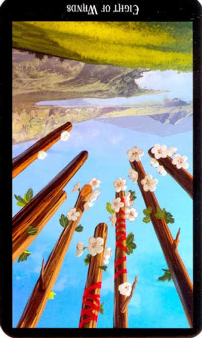 reversed eight of wands witches tarot