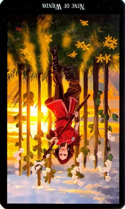 reversed nine of wands witches tarot