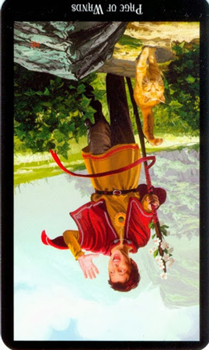 reversed page of wands witches tarot