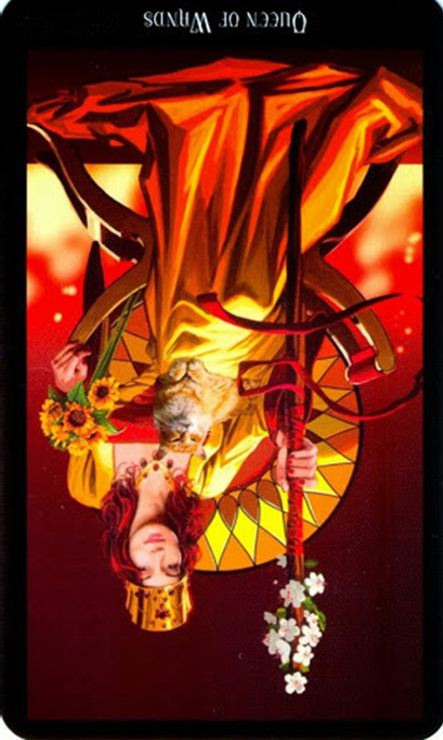 reversed queen of wands witches tarot