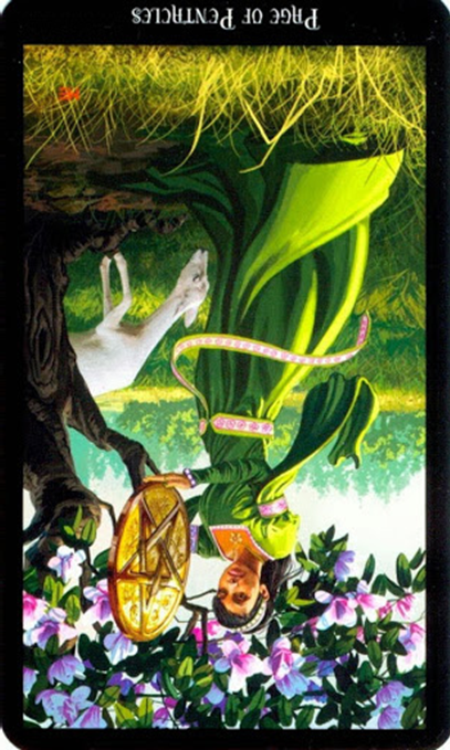 reversed page of pentacles witches tarot