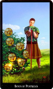 7 of Pentacles Witches Tarot