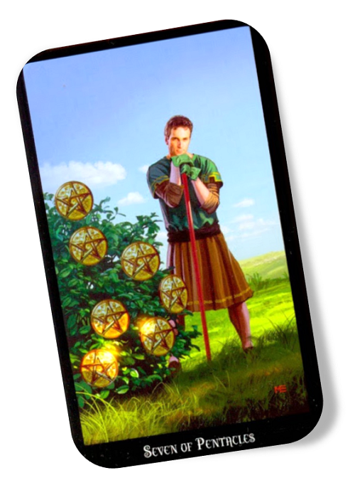 Meaning of the Seven of Pentacles Witches Tarot