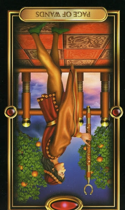 reversed page of wands gilded tarot