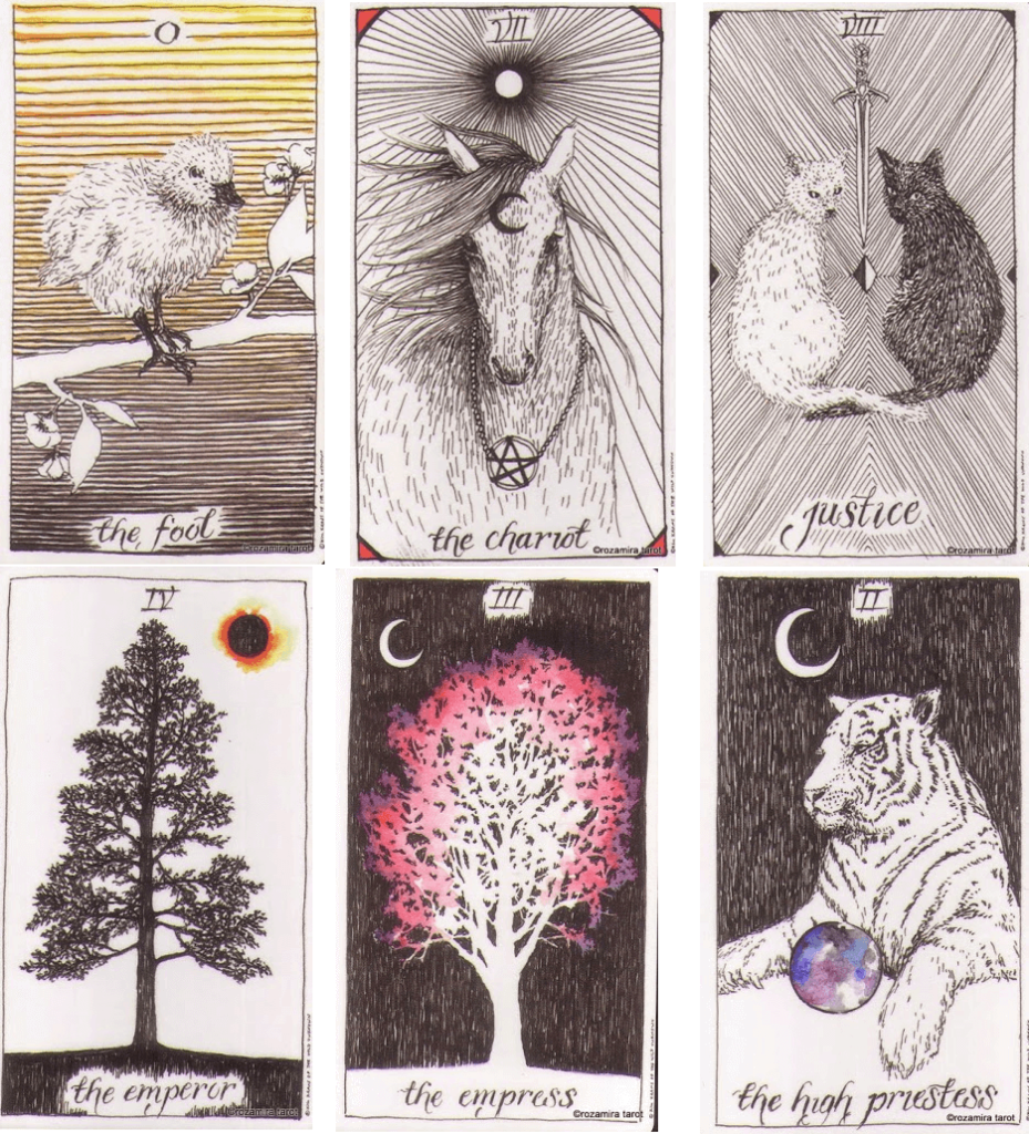 Major Arcana cards in The Wild Unknown Tarot
