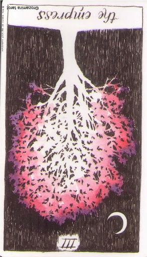 reversed the empress wild unknown tarot