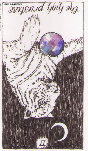 reversed the high priestess wild unknown tarot