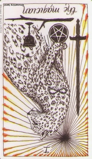 reversed the magician wild unknown tarot