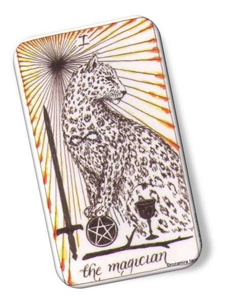 Image description on The Magician Wild Unknown Tarot