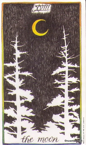 The Moon Wild Unknown Tarot