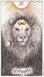 The Strength Wild Unknown Tarot Card Meanings | TarotX