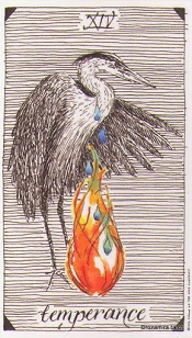 The Temperance Wild Unknown Tarot