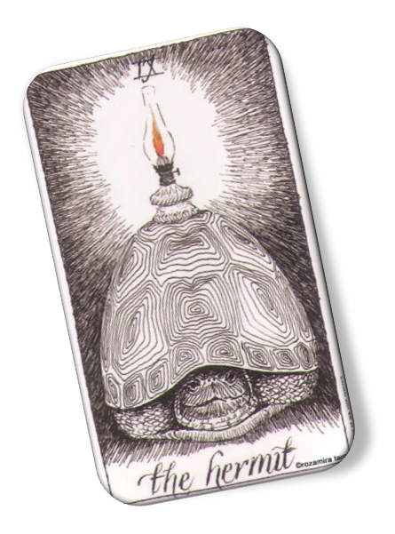 Image description on The Hermit Wild Unknown Tarot