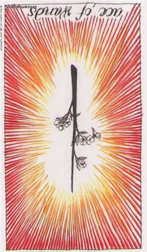 reversed ace of wands wild unknown tarot