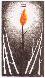 7 of Wands Wild Unknown Tarot