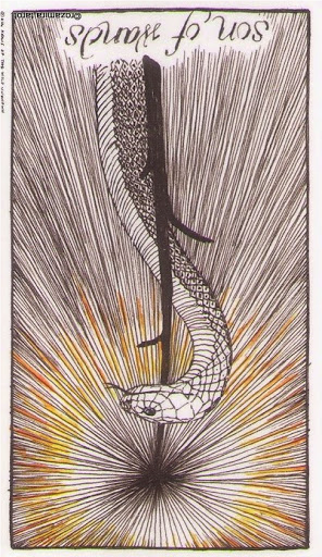 reversed son of wands wild unknown tarot